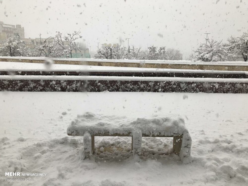 تصاویری لذت بخش از بارش برف در کرمانشاه